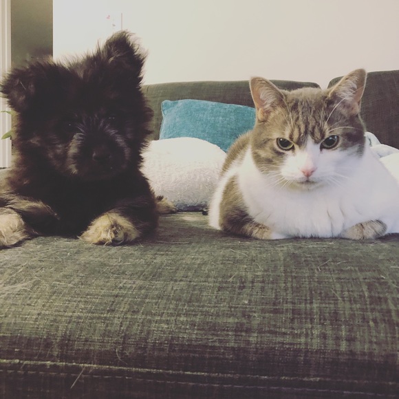 Meet your Posher, Sarah - Picture 3 of 4